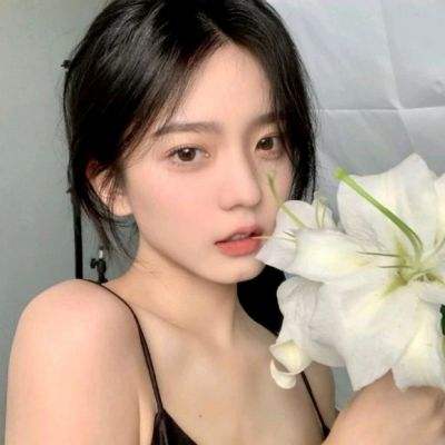 仙境传说ro复兴破解版下载
